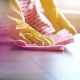 CleanServ D'Rosa