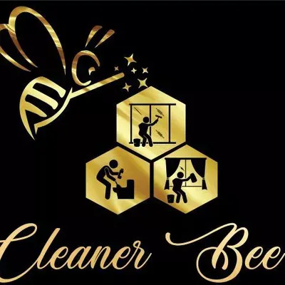 Cleaner bee