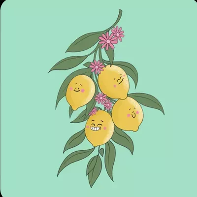 Lemon Cleaning Service