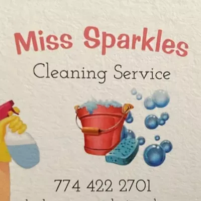 Miss Sparkle cleaning