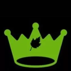 Kings Point Landscaping LLC