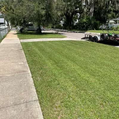 MVD Lawn Care, LLC