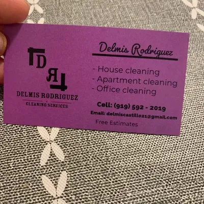 Cleaning serbice Delmis