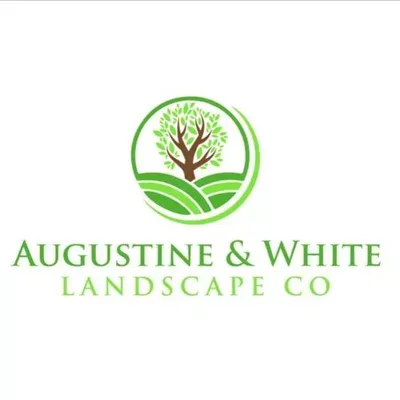 Augustine & White Landscape