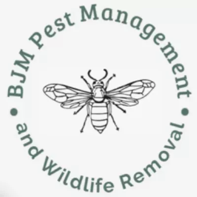 BJM Pest Management