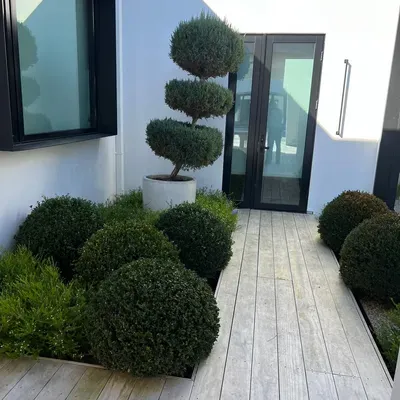Wine Country Landscaping