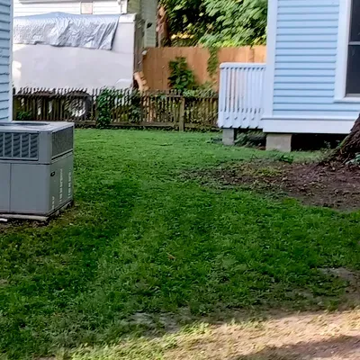 The Greener Side