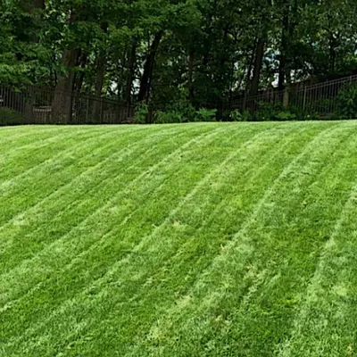 Amayas Lawn Care