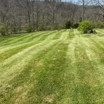 B&D lawn care