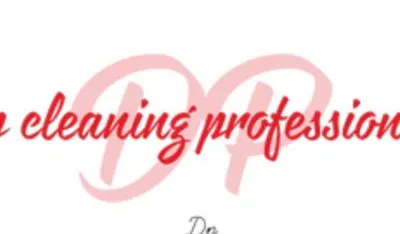 Dp cleaning professionals LLC