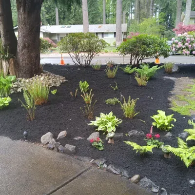 Taylor landscaping in