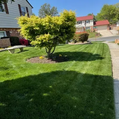 Brothers landscaping