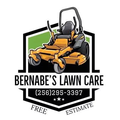 Bernabe’s lawn care