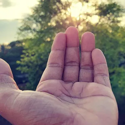 Helping Hands