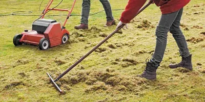 Inspo lawncare