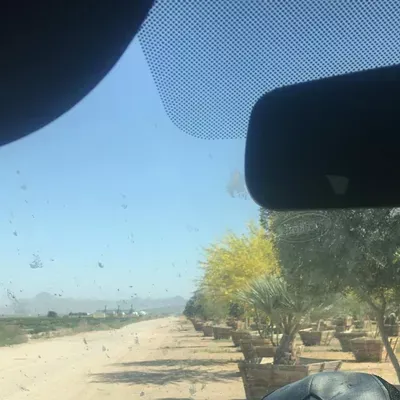 The Green Valley