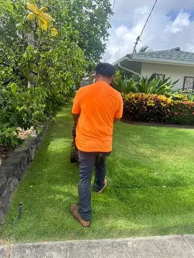 EddiemarViernes yard service
