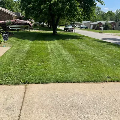 Grassblasters lawn and landscape