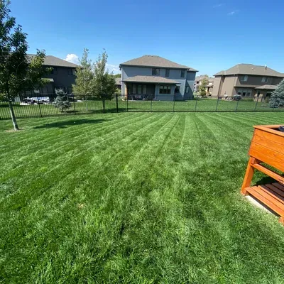 Rocha Landscaping