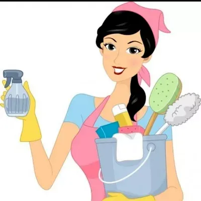 Alma’s professional housekeeping services