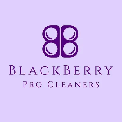 BlackBerry Pro Cleaners