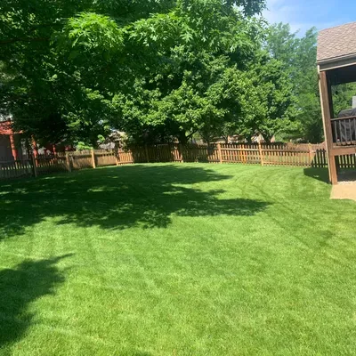 Lewis Lawn care LLC