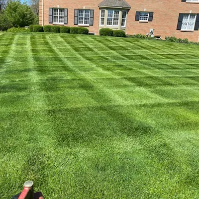 Green Leaf Lawn Care