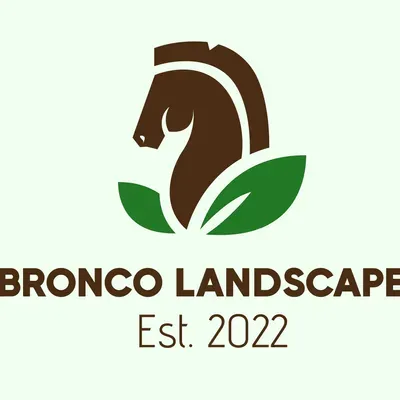 Bronco Landscapes