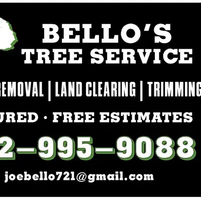 Bello’s lawn and tree services