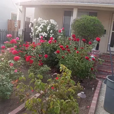 VMA Landscaping