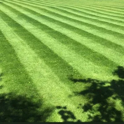 J’s A-1 Lawn Service
