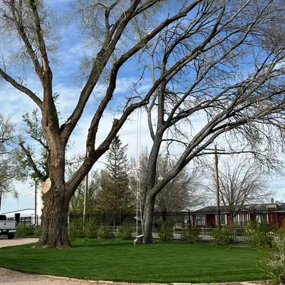 ML LANDSCAPING LLC