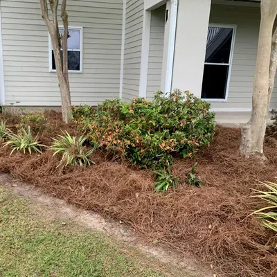 LP LawnCare