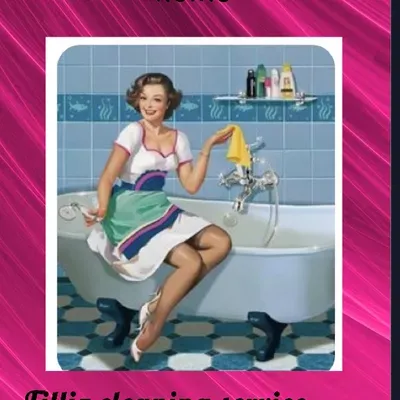 Filliz cleaning service