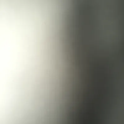 VarietyProfessionalSevices