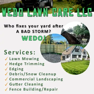 Wedo LLC