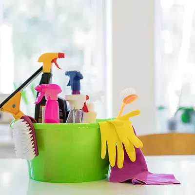 Claudia cleaning services