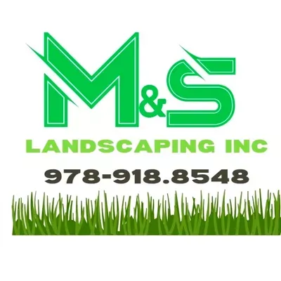 M&S Landscaping INC