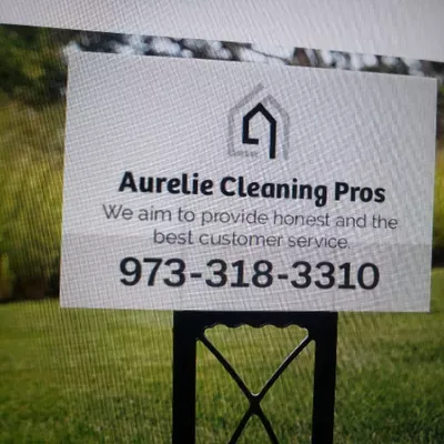 Aurelie Cleaning Pros