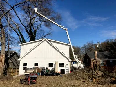L.A. Professional Tree Service, Shrub & Landscaping Design