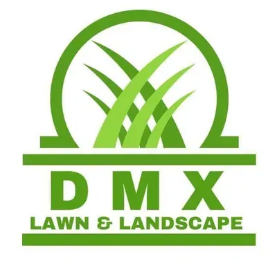 DMX Landscape