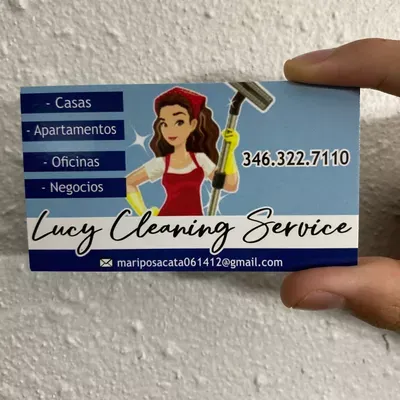 Lucy cleaning service