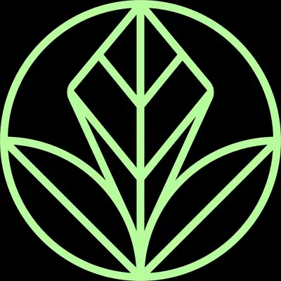 Green Care & Cleaning Services