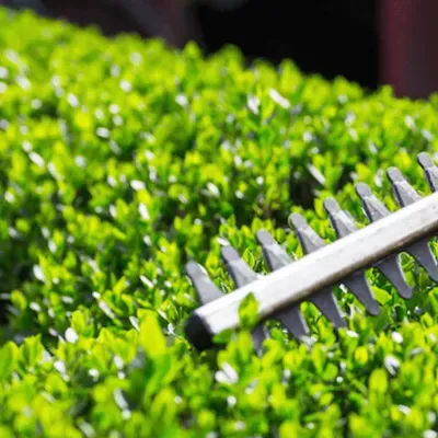 B.I.N.G.O. Landscaping & handyman services
