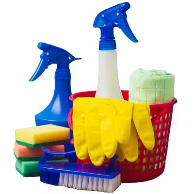 Bongo Cleaning