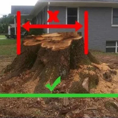 LAWN SOLUTIONS FOR YOUR PLACE LLC