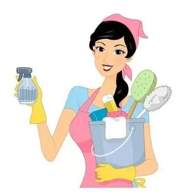 Lola Cleaning Services