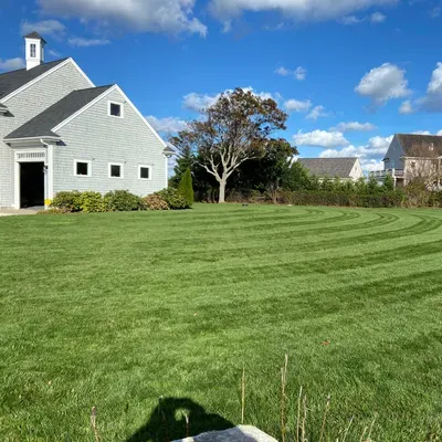 Majick Landscaping