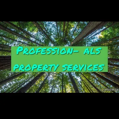 Profession-Als Property Services