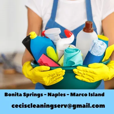 Ceci's Cleaning Service